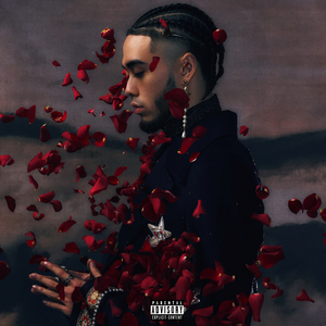 人与动物性交内射
