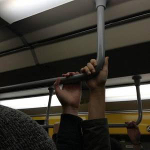 人与动物性交内射
