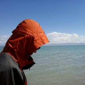 人与动物性交内射
