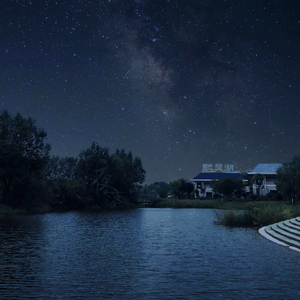 人与动物性交内射
