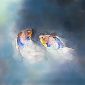 人与动物性交内射
